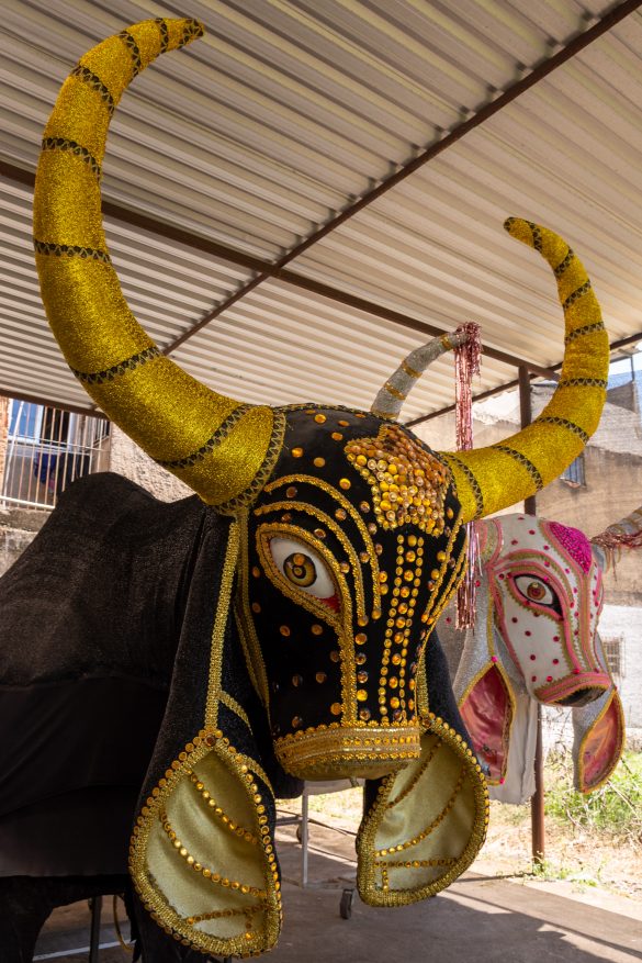 27 02 2025 preparativos bloco do boi 1 foto iam martins