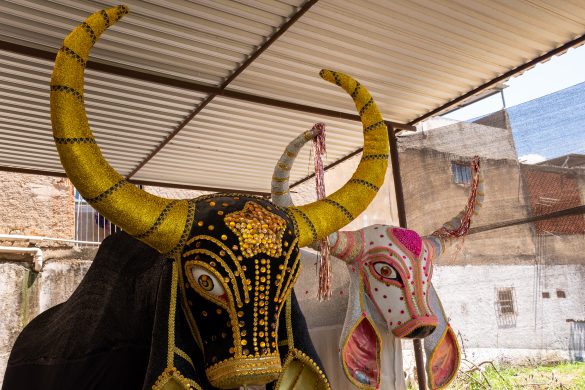 27 02 2025 preparativos bloco do boi 2 foto iam martins