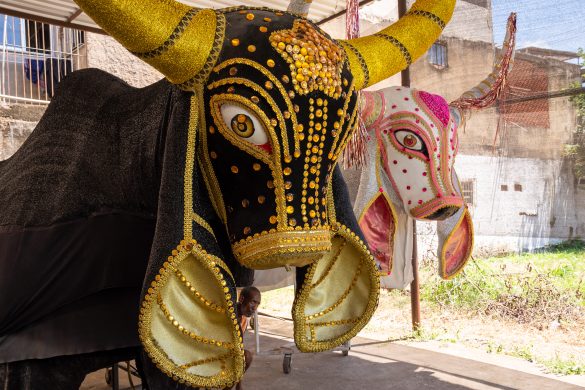 27 02 2025 preparativos bloco do boi 4 foto iam martins