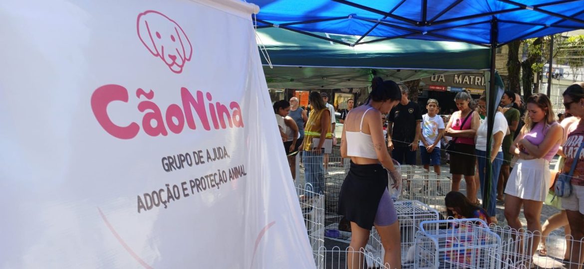 34.cf.res.cidades.prefeitura de barra mansa.1.campanha.paulodimaspmbm