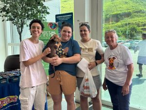 animais ganham novos lares divulgação pmvr