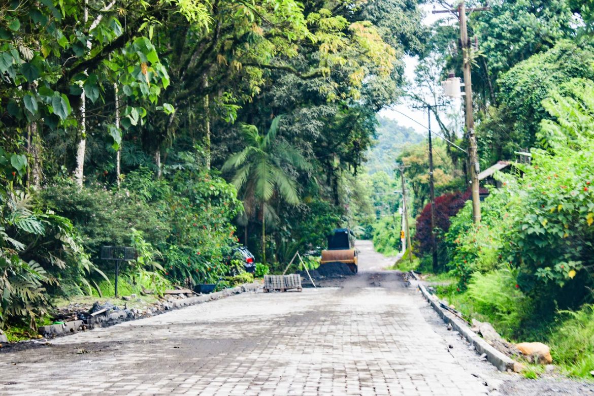 imagem do whatsapp de 2025 02 04 à(s) 15.30.48 42226b37