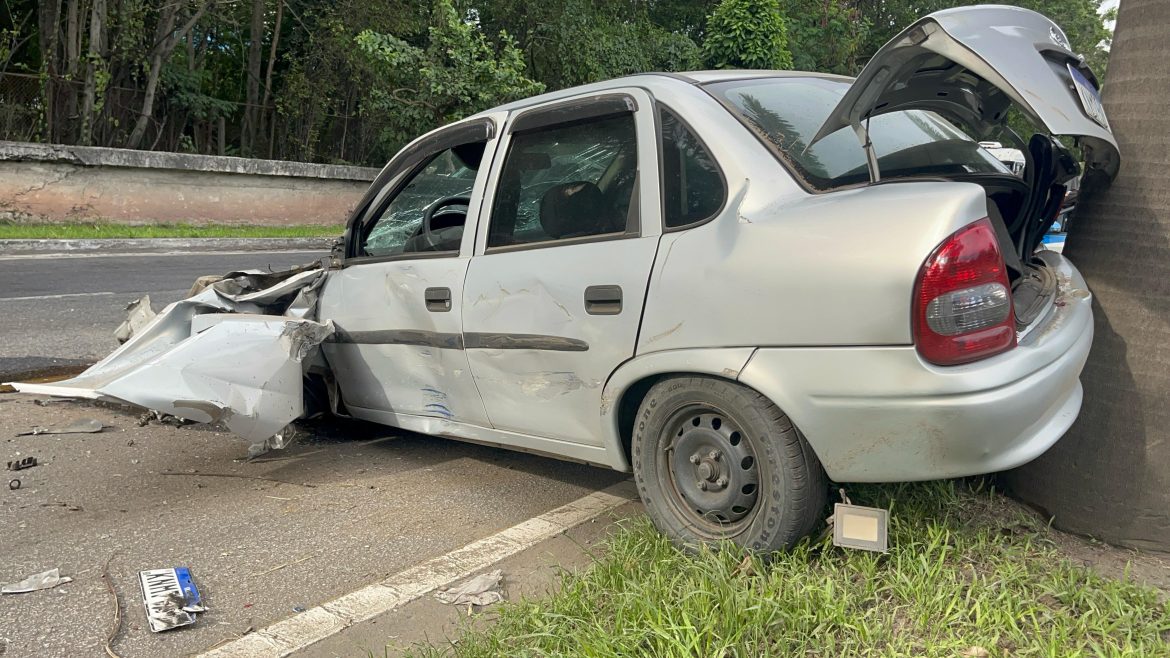 imagem do whatsapp de 2025 02 10 à(s) 17.33.23 2071ddc3