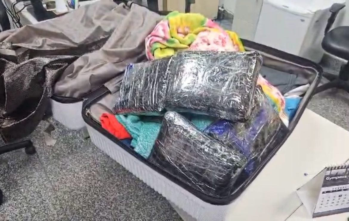 imagem do whatsapp de 2025 02 19 à(s) 17.07.42 9136fda5