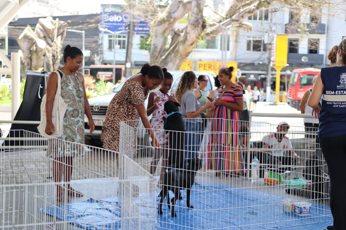 whatsapp image 2025 02 07 at 10.49.42