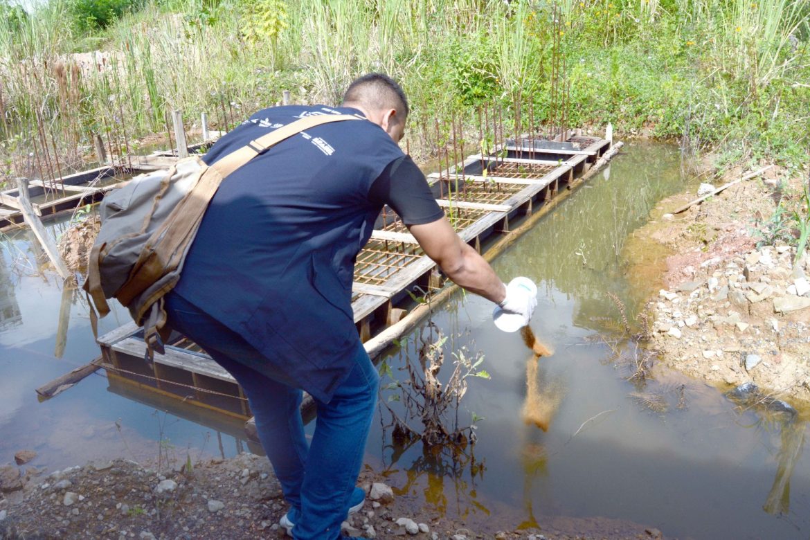 whatsapp image 2025 02 21 at 16.59.29