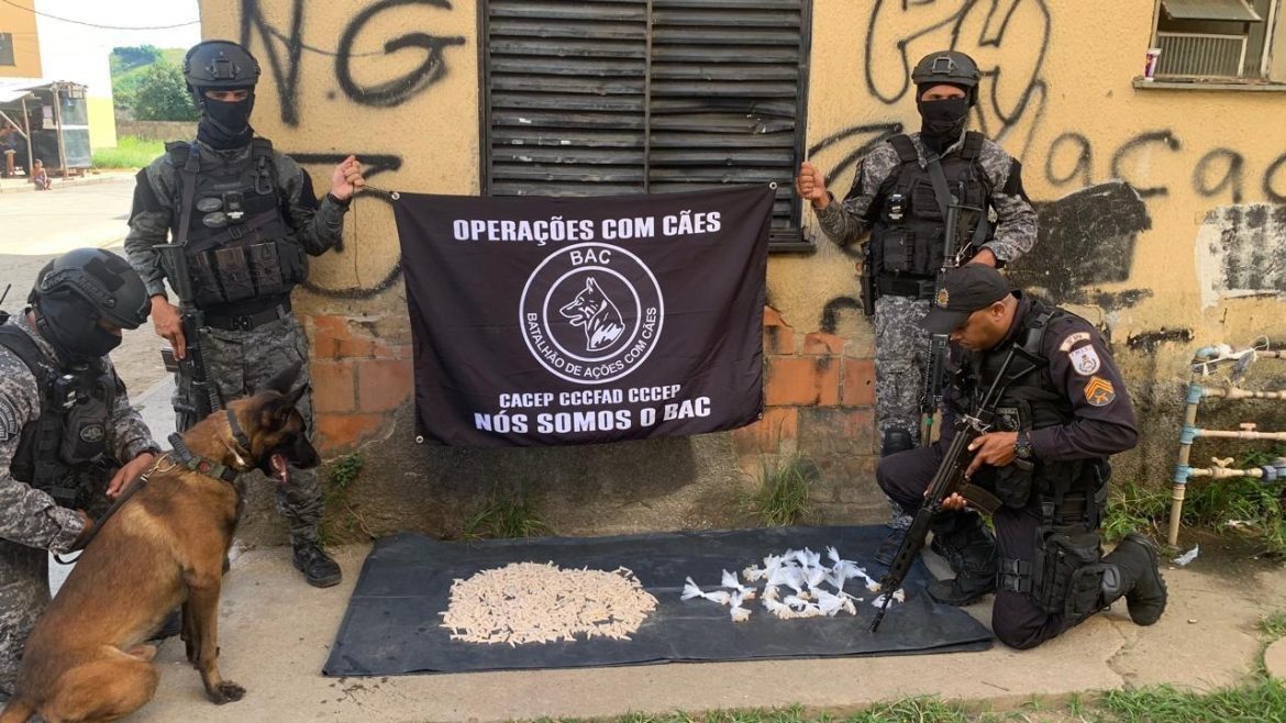 whatsapp image 2025 02 25 at 17.24.47