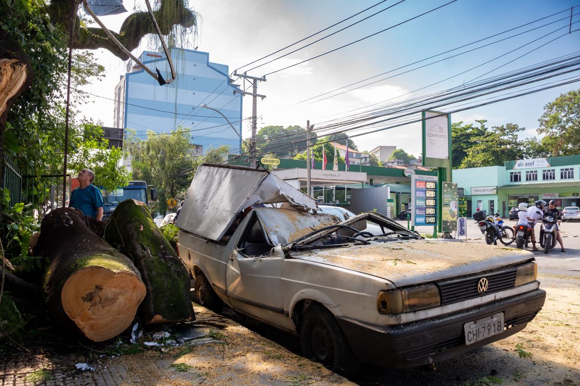 13 03 2025 queda de árvore, estragos da chuva forte 6 foto iam martins