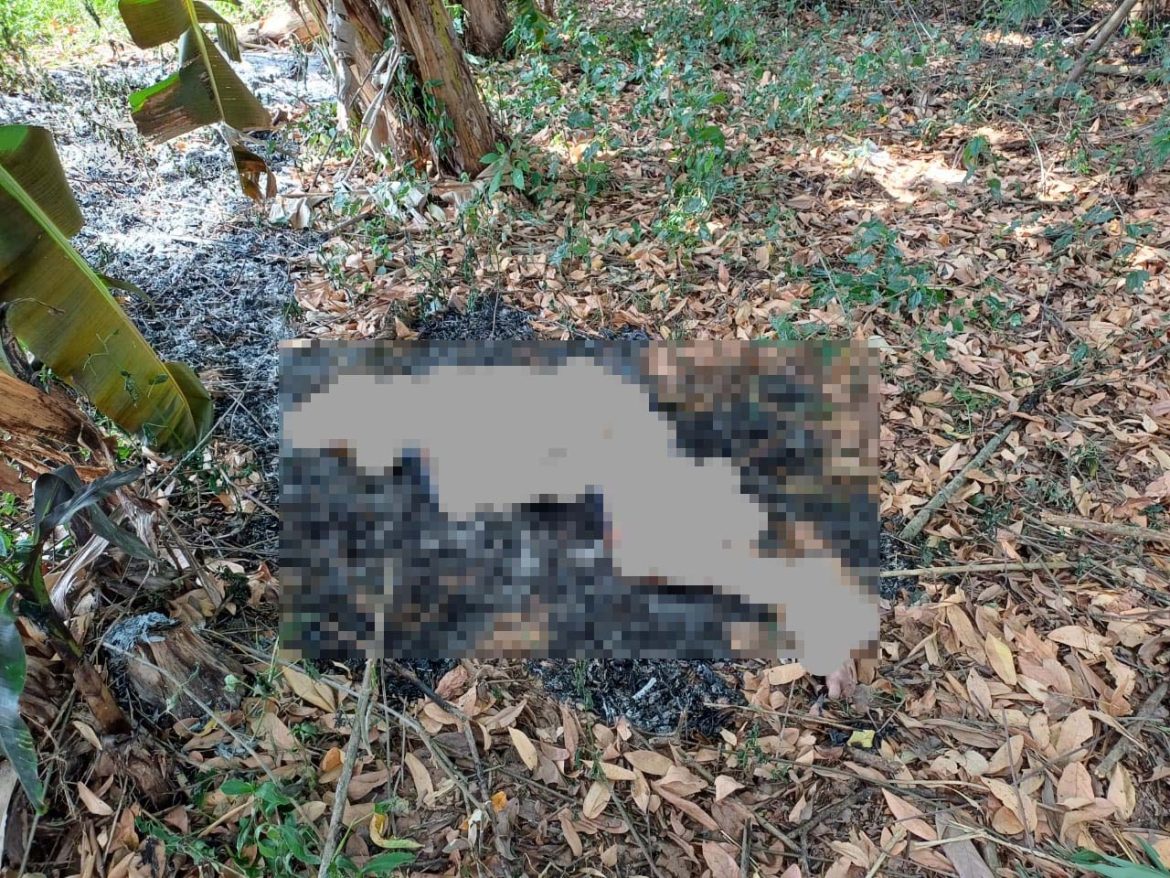 13.cf.res.polÍcia.corpo parcialmente carbonizado.divulgaÇÃoprf