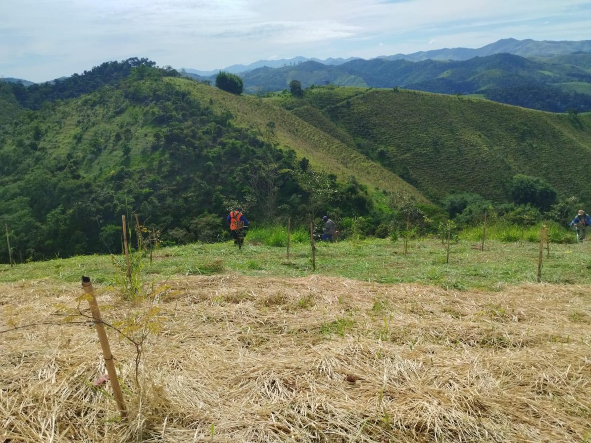 16.cf.res.cidades.prefeitura de quatis realiza limpeza.1.equipes (2)