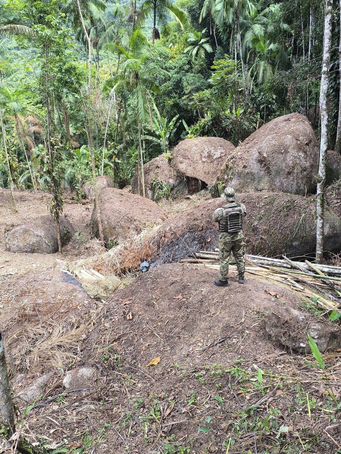 26.cf.res.cidades.polícia identifica crime ambiental.divulgaÇÃo