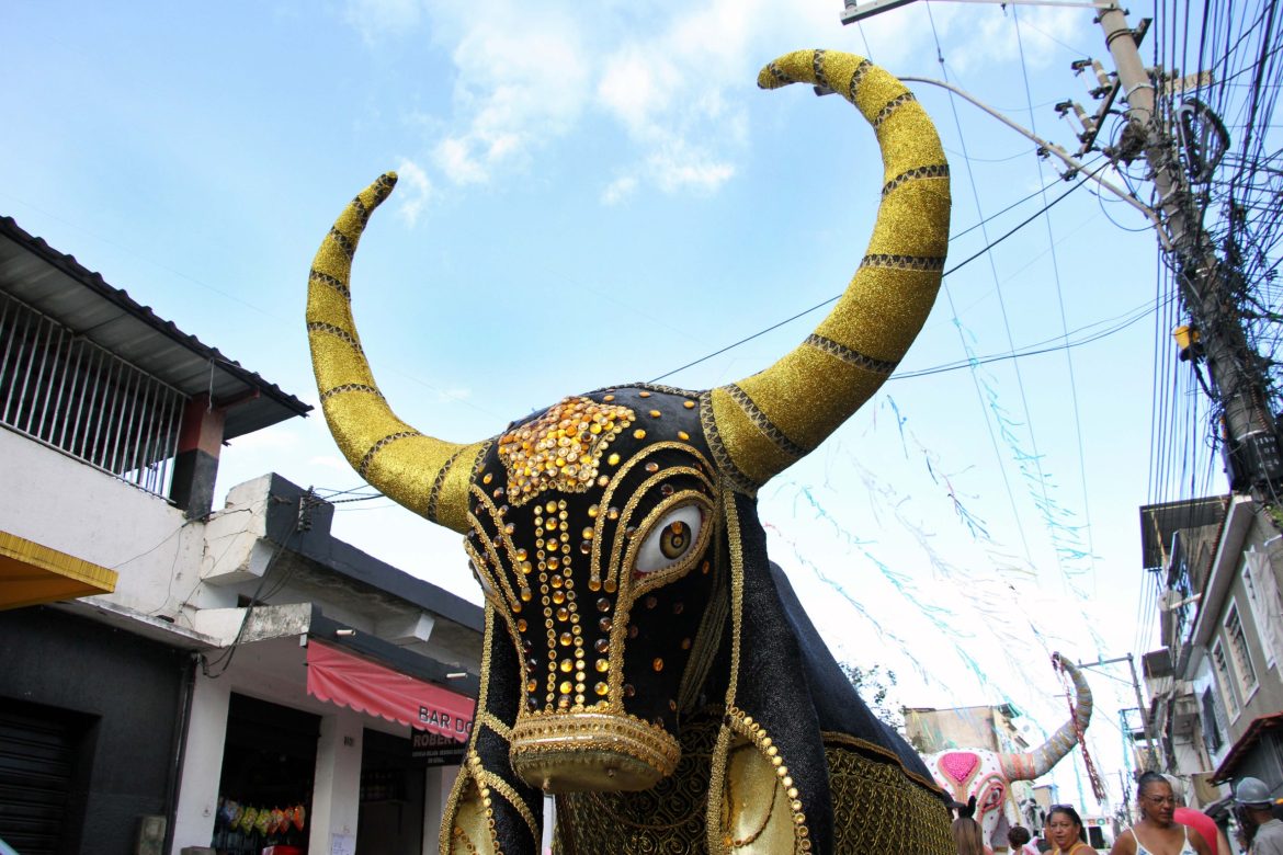 55.cf.res.cidades.leandro sapucahy embala milhares.3.folia (11)