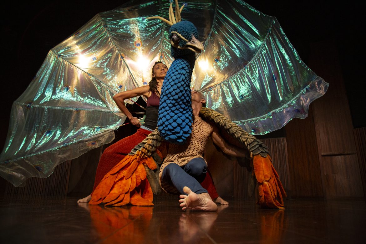 alicia peres pavao misterioso 07