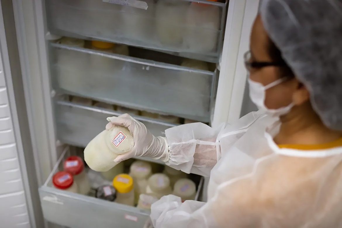 campanha mundial de aleitamento materno poderá usar slogan criado pelo banco de leite de volta redonda arquivo cris oliveira