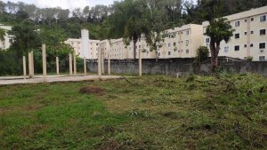 e5726811 5242 4176 951a 2ab86dc3f1fc