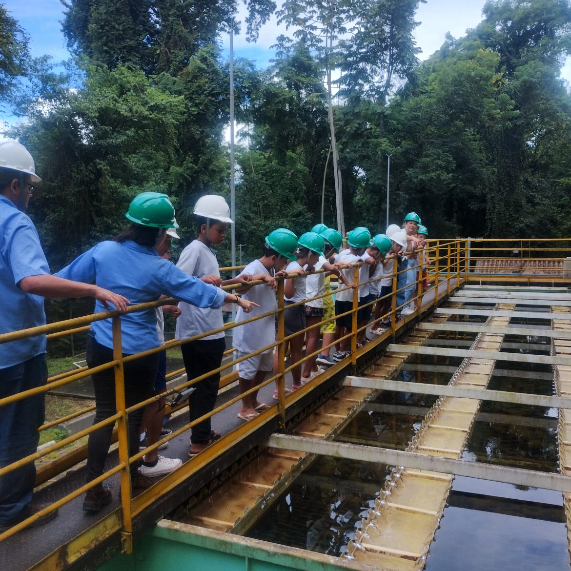 pequenina calixto eta pedra branca (12)