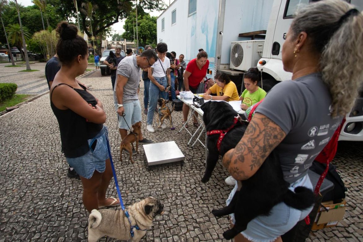 prefeitura de volta redonda inicia castração de cães e gatos em parceria com a faa cris oliveira secom