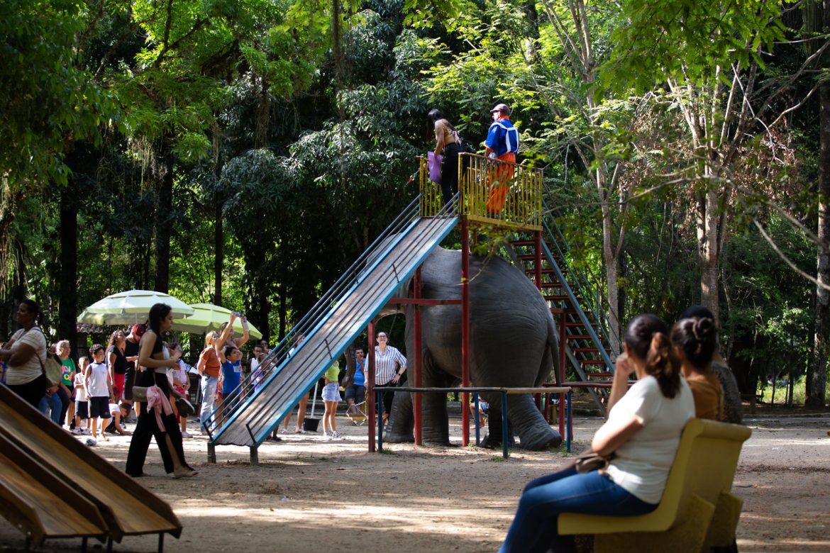 whatsapp image 2025 03 01 at 09.09.44