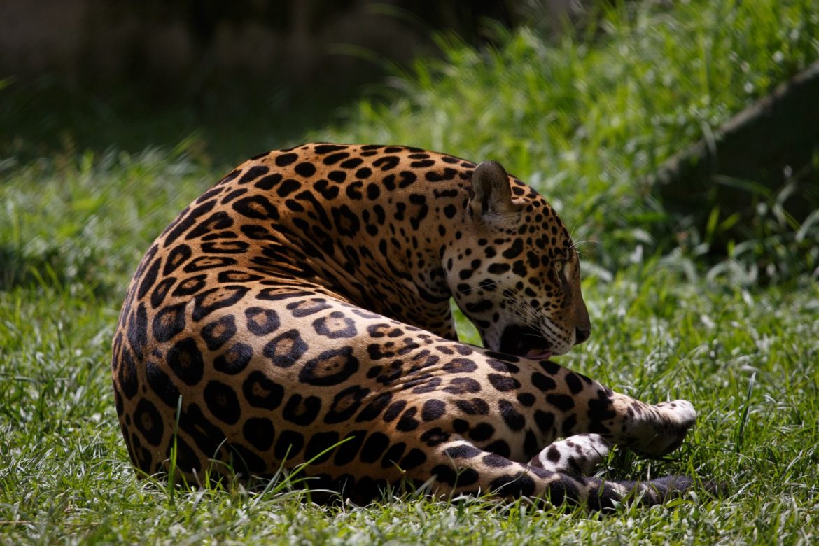 whatsapp image 2025 03 01 at 09.09.46