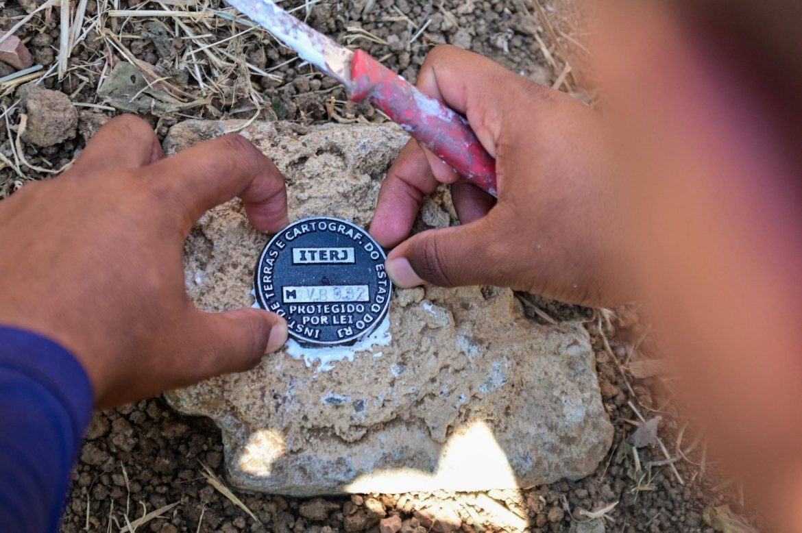 whatsapp image 2025 03 07 at 11.55.53