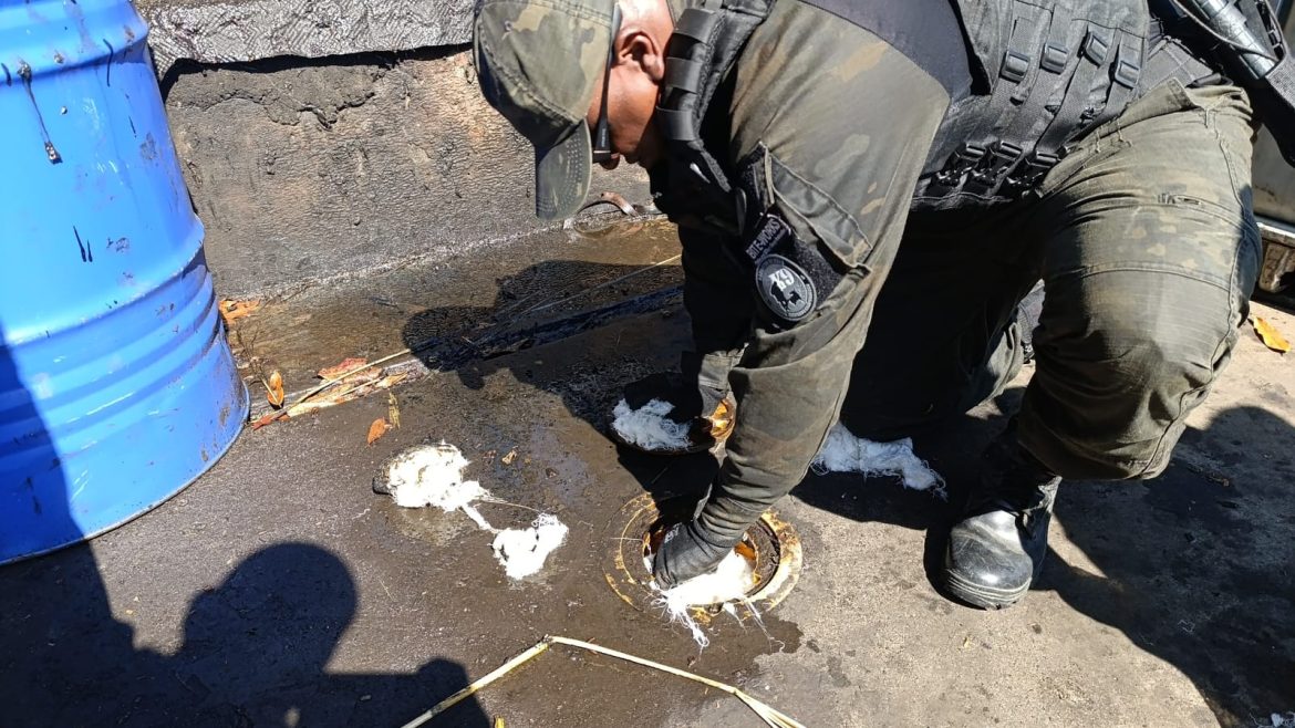 whatsapp image 2025 03 10 at 17.06.19 (1)