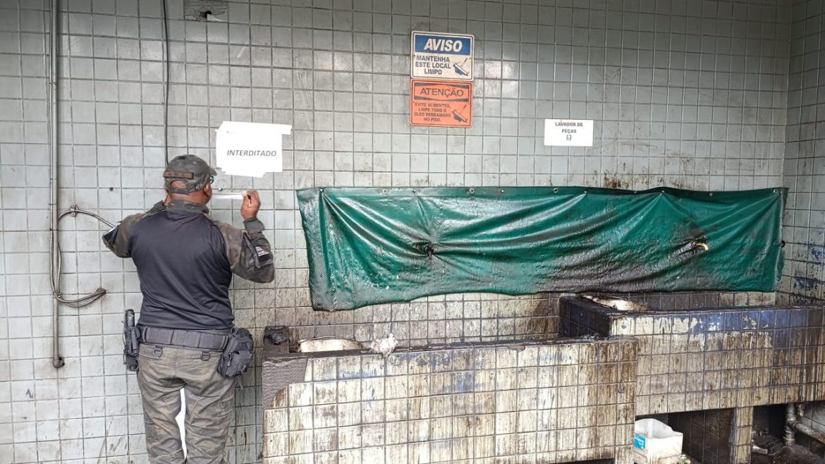 whatsapp image 2025 03 10 at 17.06.20