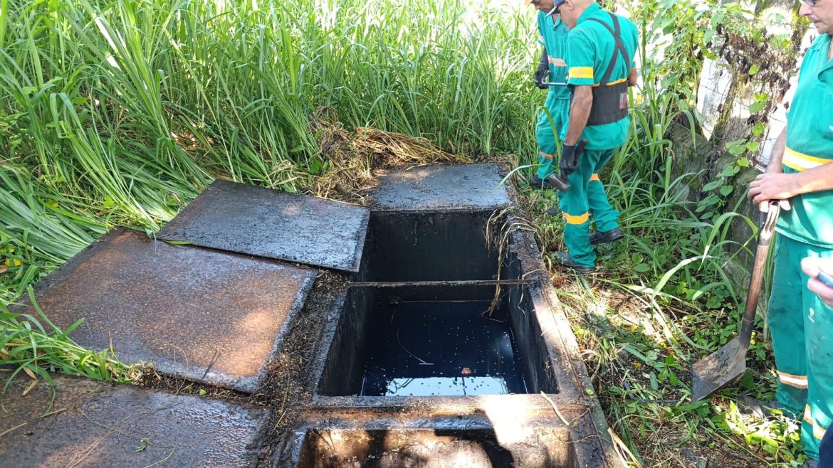 whatsapp image 2025 03 10 at 17.06.21