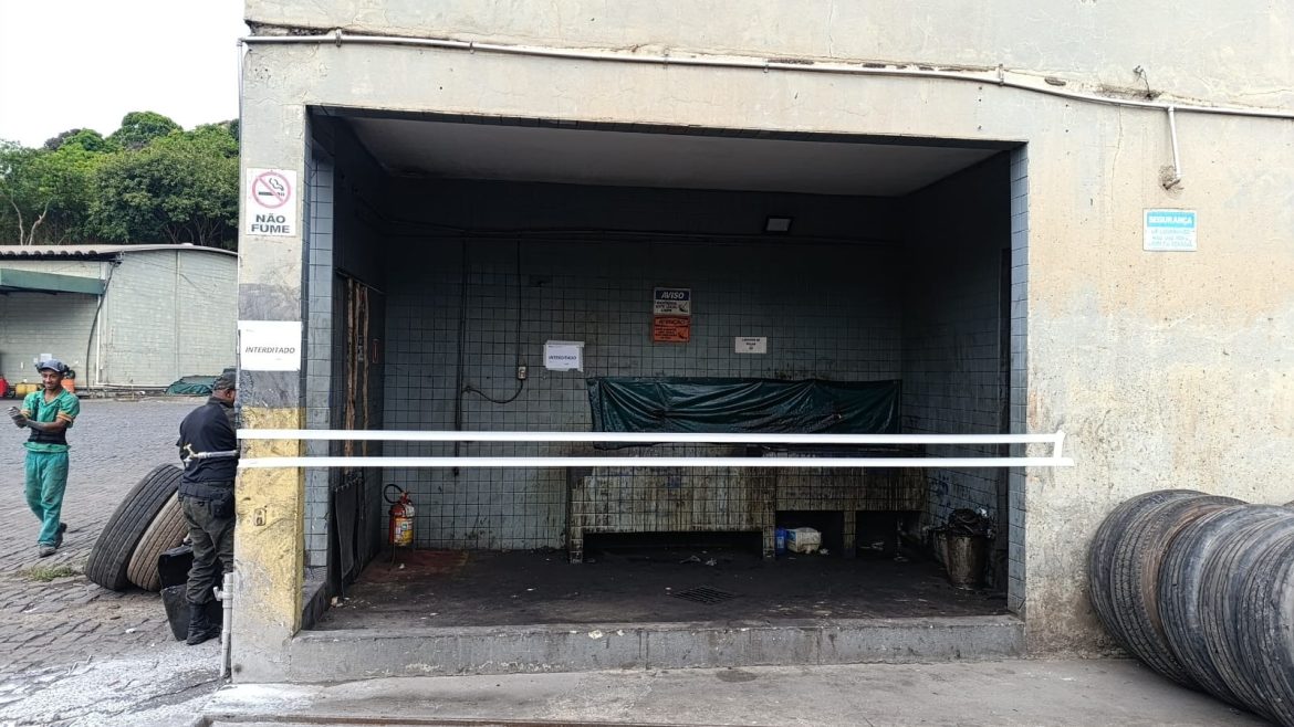 whatsapp image 2025 03 10 at 17.06.24