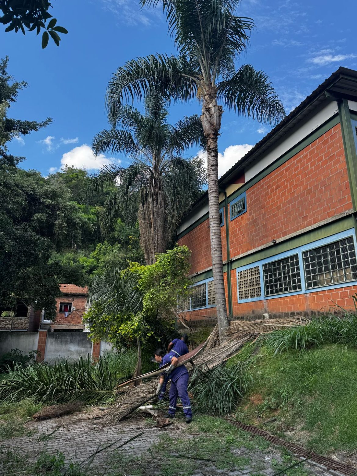 whatsapp image 2025 03 18 at 16.21.32 (1)