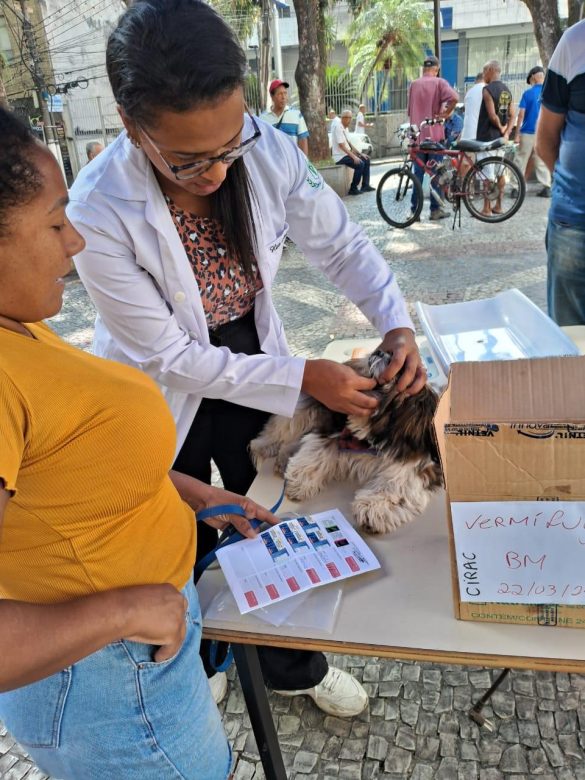 whatsapp image 2025 03 22 at 12.03.48 (6)