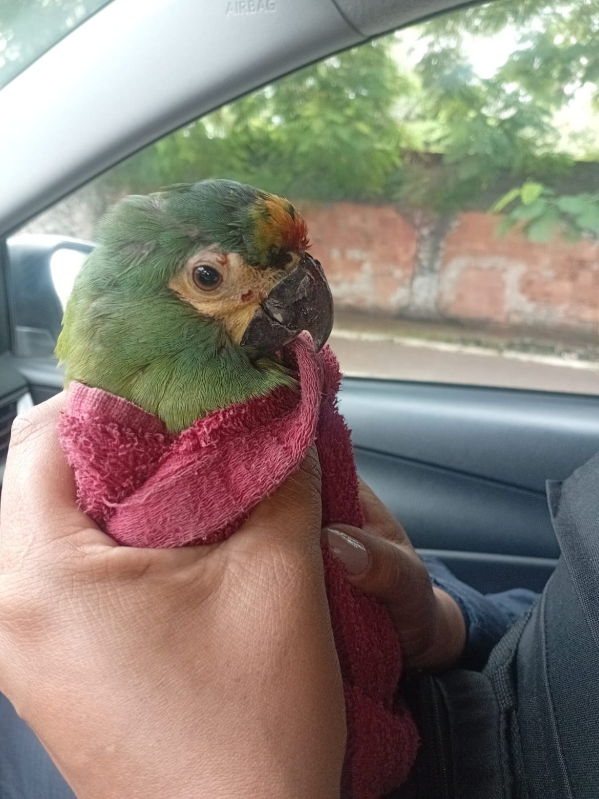 whatsapp image 2025 03 25 at 17.43.59