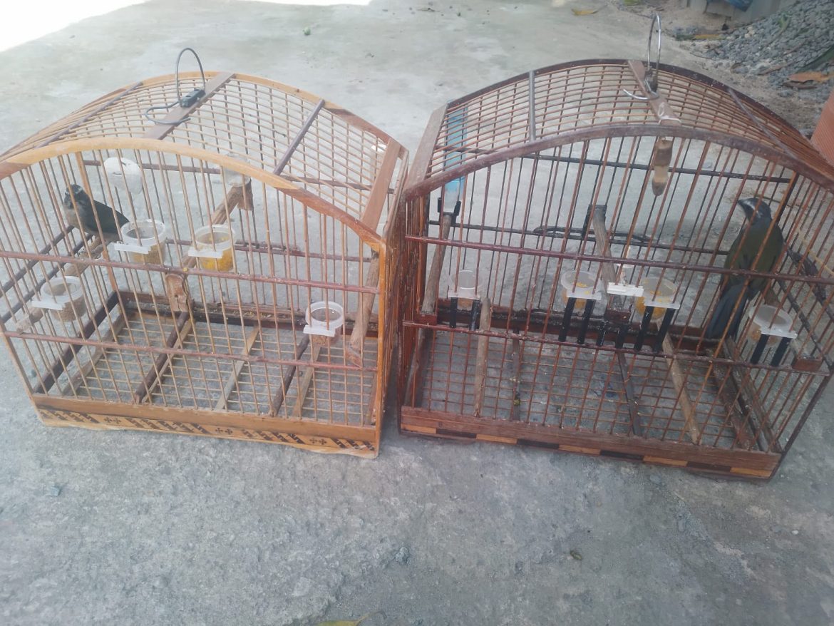 14 4 2025 0 imagem do whatsapp de 2025 04 14 à(s) 16.40.19 83292f2b