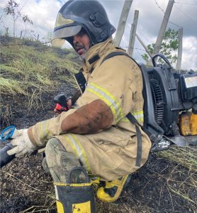 defesa civil apaga fogo em vegetação divulgação