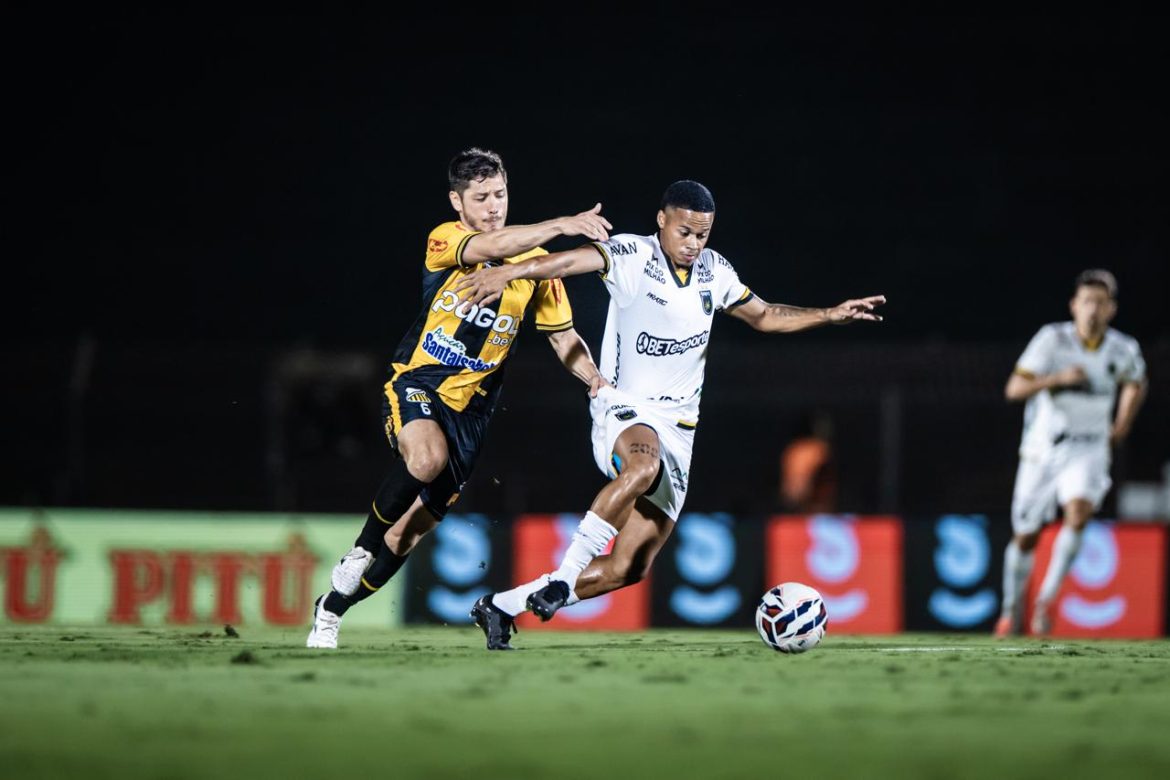 divulgação pedro zacchi