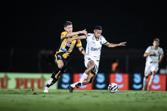 divulgação pedro zacchi