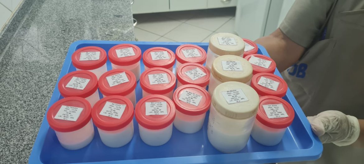 mais de 300 frascos de vidro são doados ao banco de leite humano de volta redonda divulgação secom