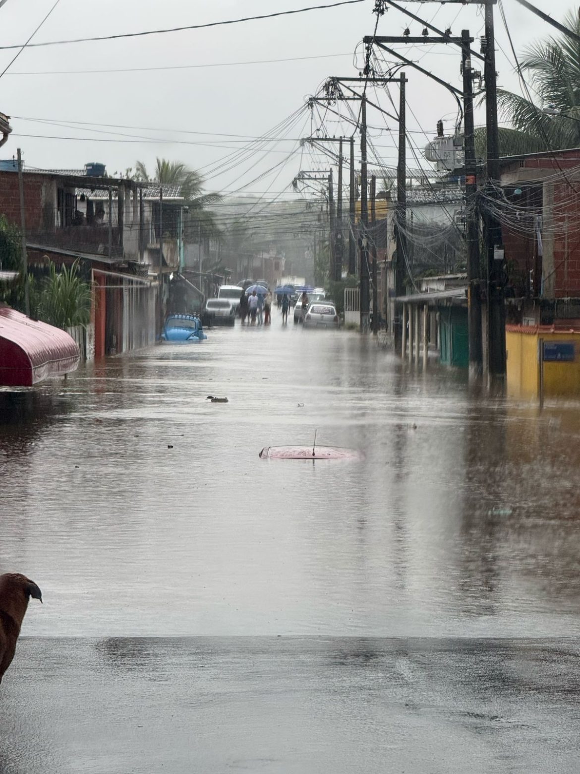 o acumulado das chuvas nas últimas 48 horas já chega a 347mm divulgação