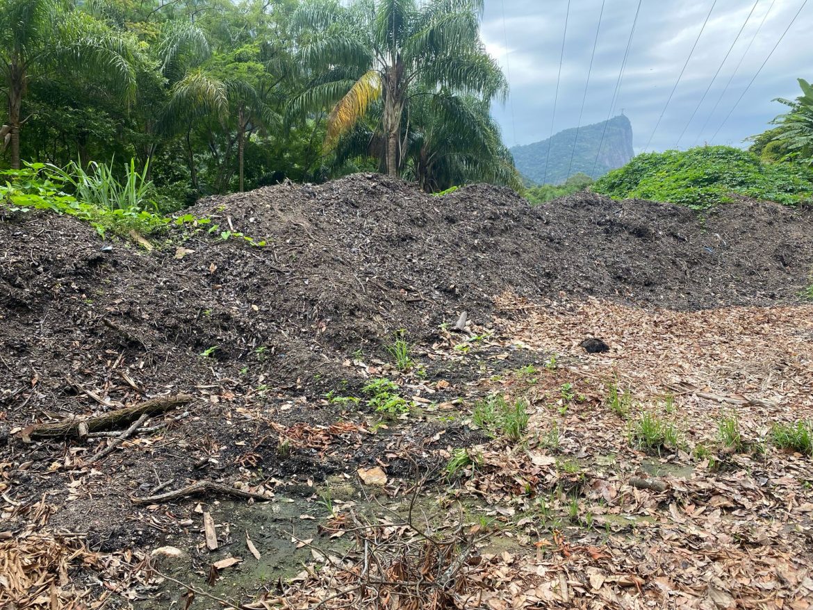 volta redonda busca referência no jardim botânico do rio para implantar área de compostagem divulgação secom111