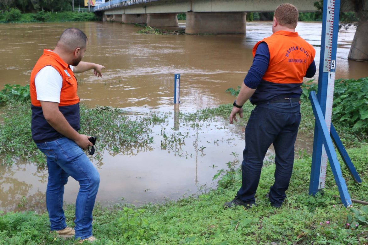 whatsapp image 2025 04 04 at 09.48.05