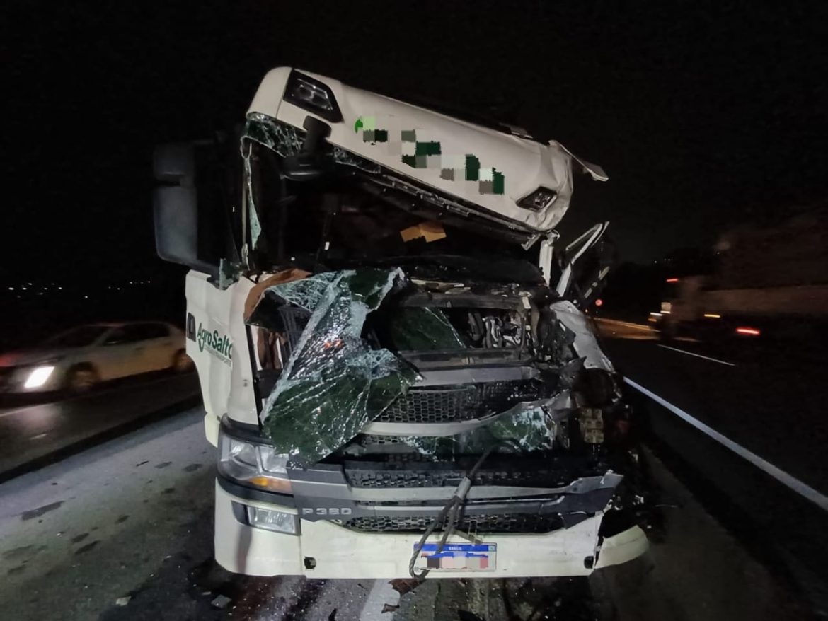 whatsapp image 2025 04 18 at 08.32.03