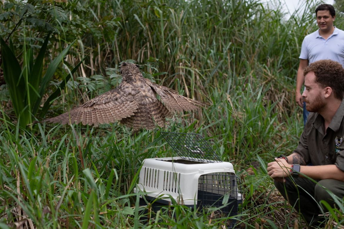 whatsapp image 2025 04 26 at 08.22.37