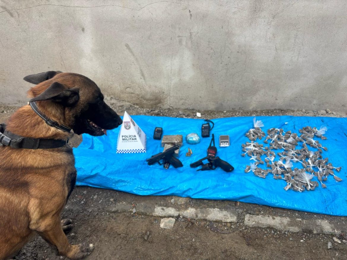 whatsapp image 2025 04 30 at 11.26.36