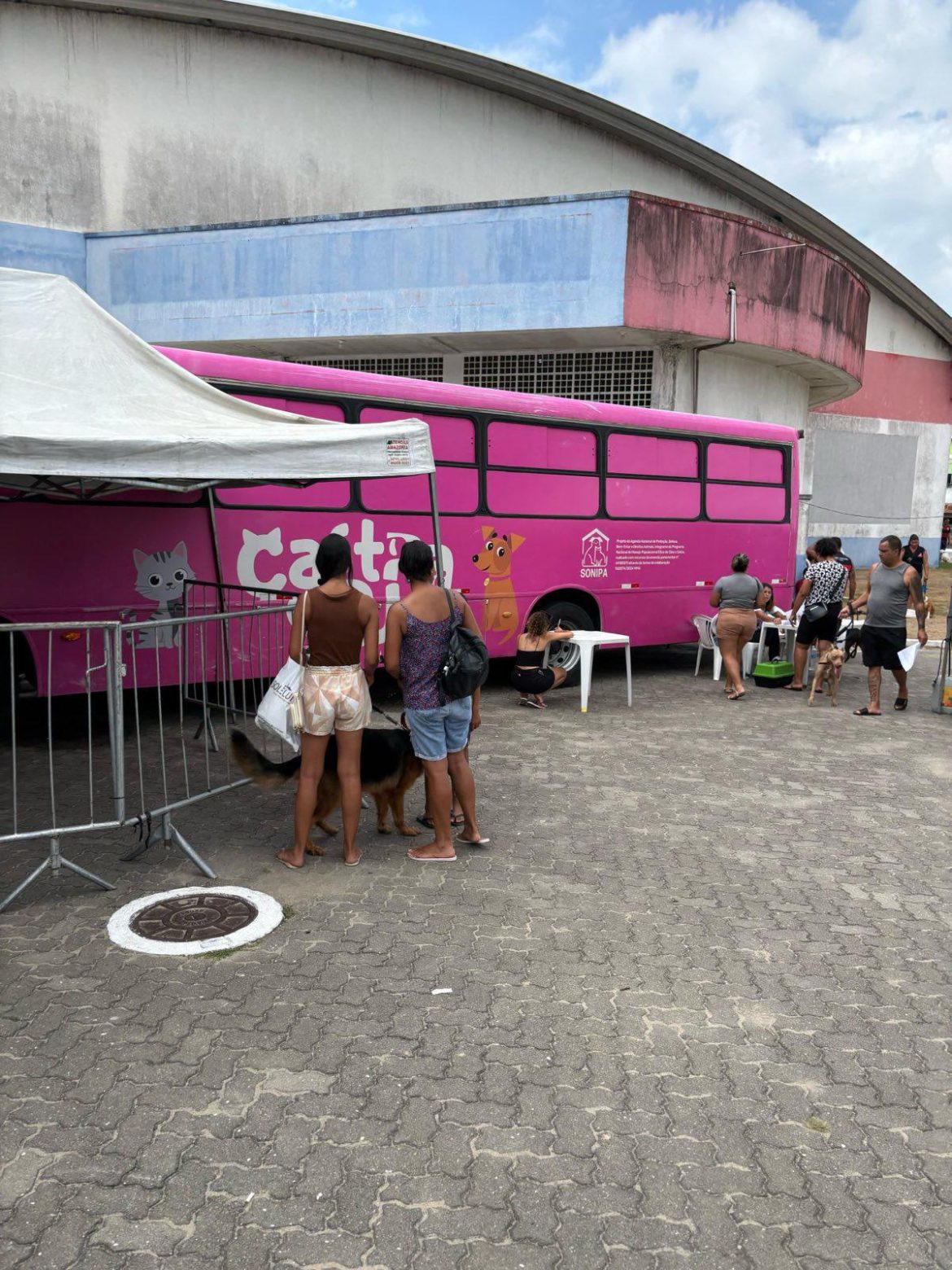 21 cidades cidade será contemplada com o projeto de castração gratuita para cães e gatos divulgaÇÃo 1