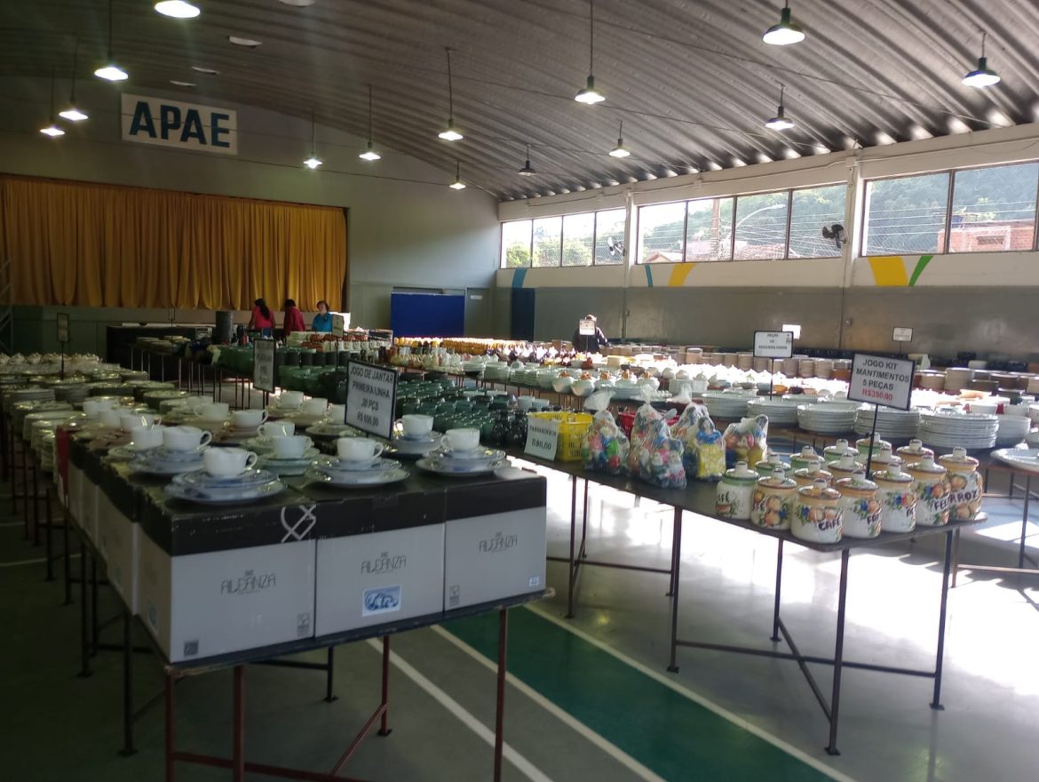 26 economia solidariedade e preços promocionais na expo louças apae vr divulgação