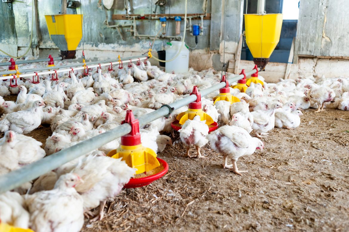 64.cf.res.cidades.governo do rio reforça prevenção.1.governo. divulgação depositphotos