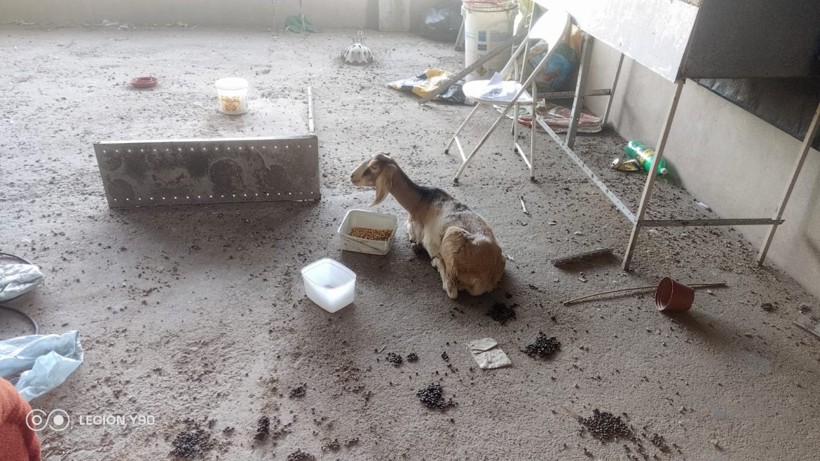 imagem do whatsapp de 2025 05 09 à(s) 17.19.56 72ff6bd6