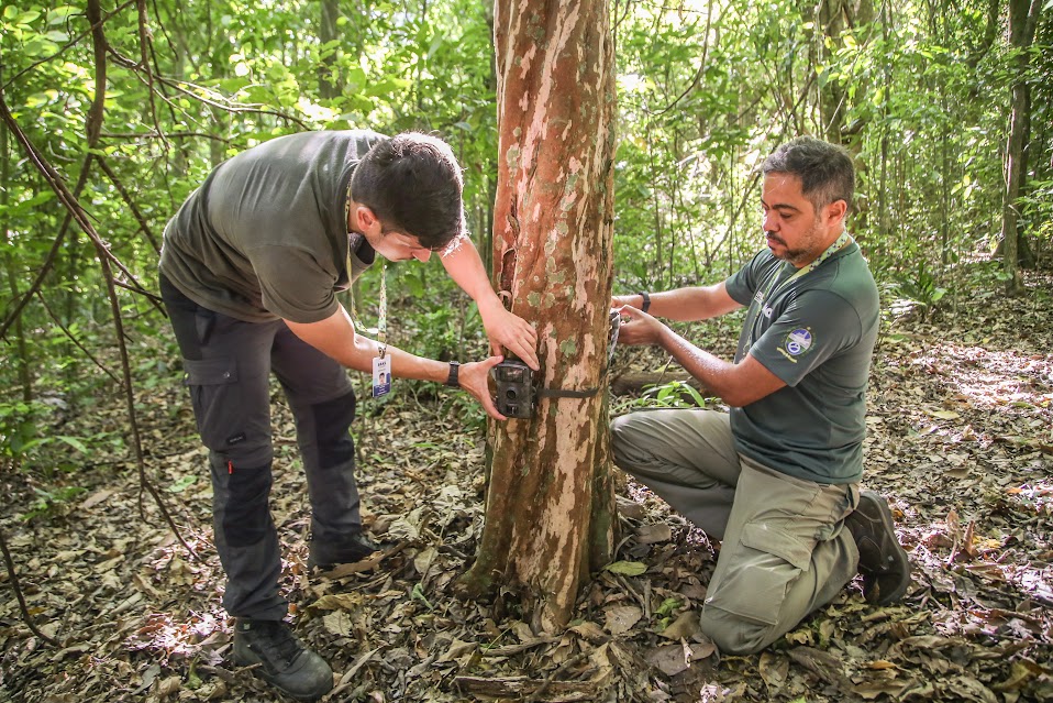 municípios da região beneficiados com câmeras para monitoramento da fauna silvestre divulgação11 municípios da região beneficiados com câmeras para monitoramento da fauna silvestre divulgação11