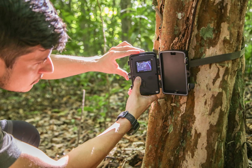 municípios da região beneficiados com câmeras para monitoramento da fauna silvestre divulgação111 municípios da região beneficiados com câmeras para monitoramento da fauna silvestre divulgação111