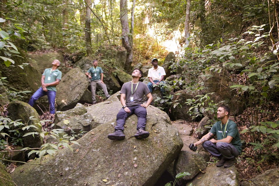 municípios da região beneficiados com câmeras para monitoramento da fauna silvestre divulgação112 municípios da região beneficiados com câmeras para monitoramento da fauna silvestre divulgação112