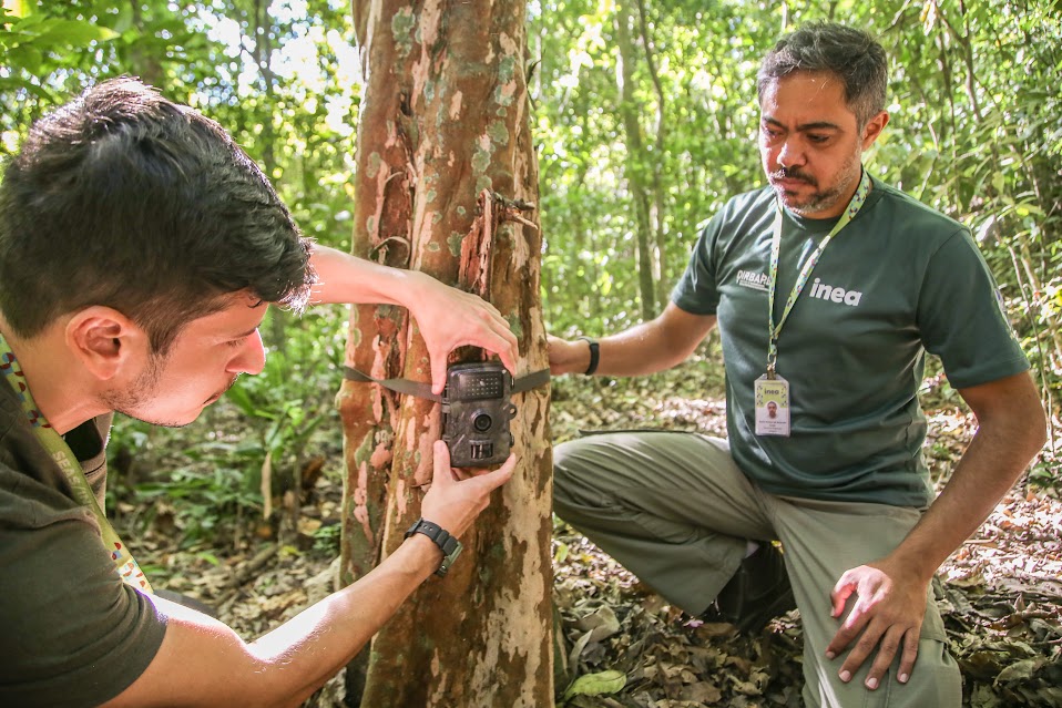 municípios da região beneficiados com câmeras para monitoramento da fauna silvestre divulgação12 municípios da região beneficiados com câmeras para monitoramento da fauna silvestre divulgação12